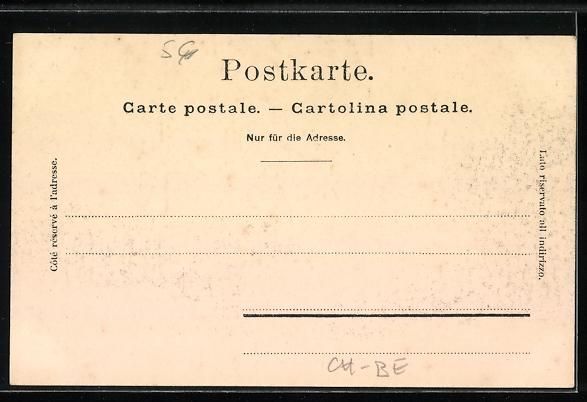 Cartes postales: Brienz /BE, Lac de Brienz, Vue général – D'occasion à Berlin par bartko-reher 1