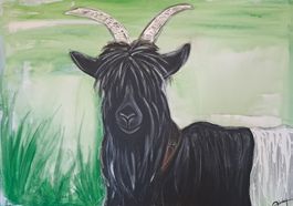 Acrylbild Schwarzhalsziege 50x70 cm handgemalt -  Unikat