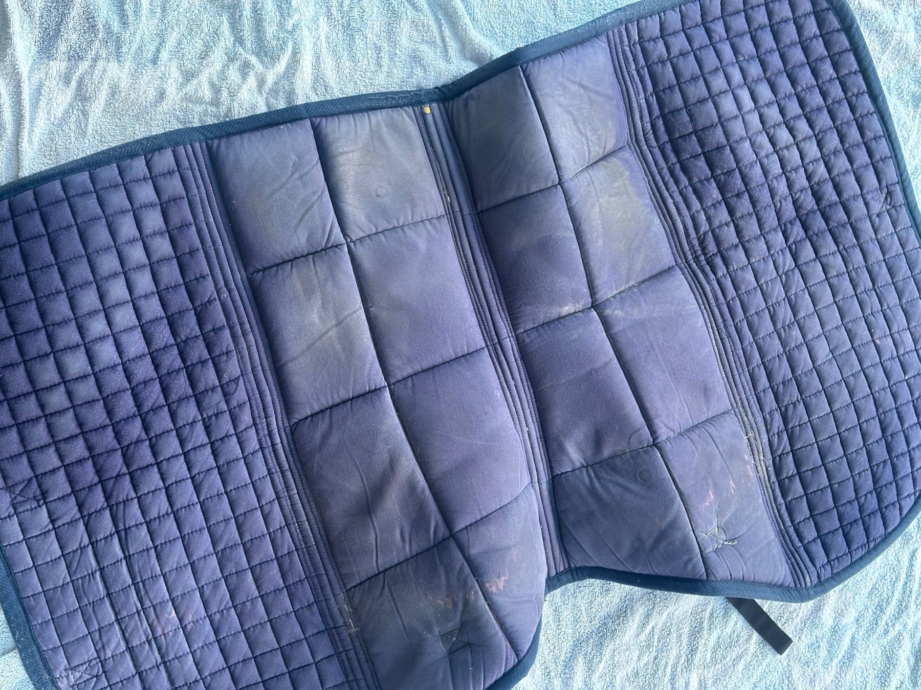 Coperte & Accessori: Schabracke – Usato da Gontenschwil venduto da cin_5qp9 1