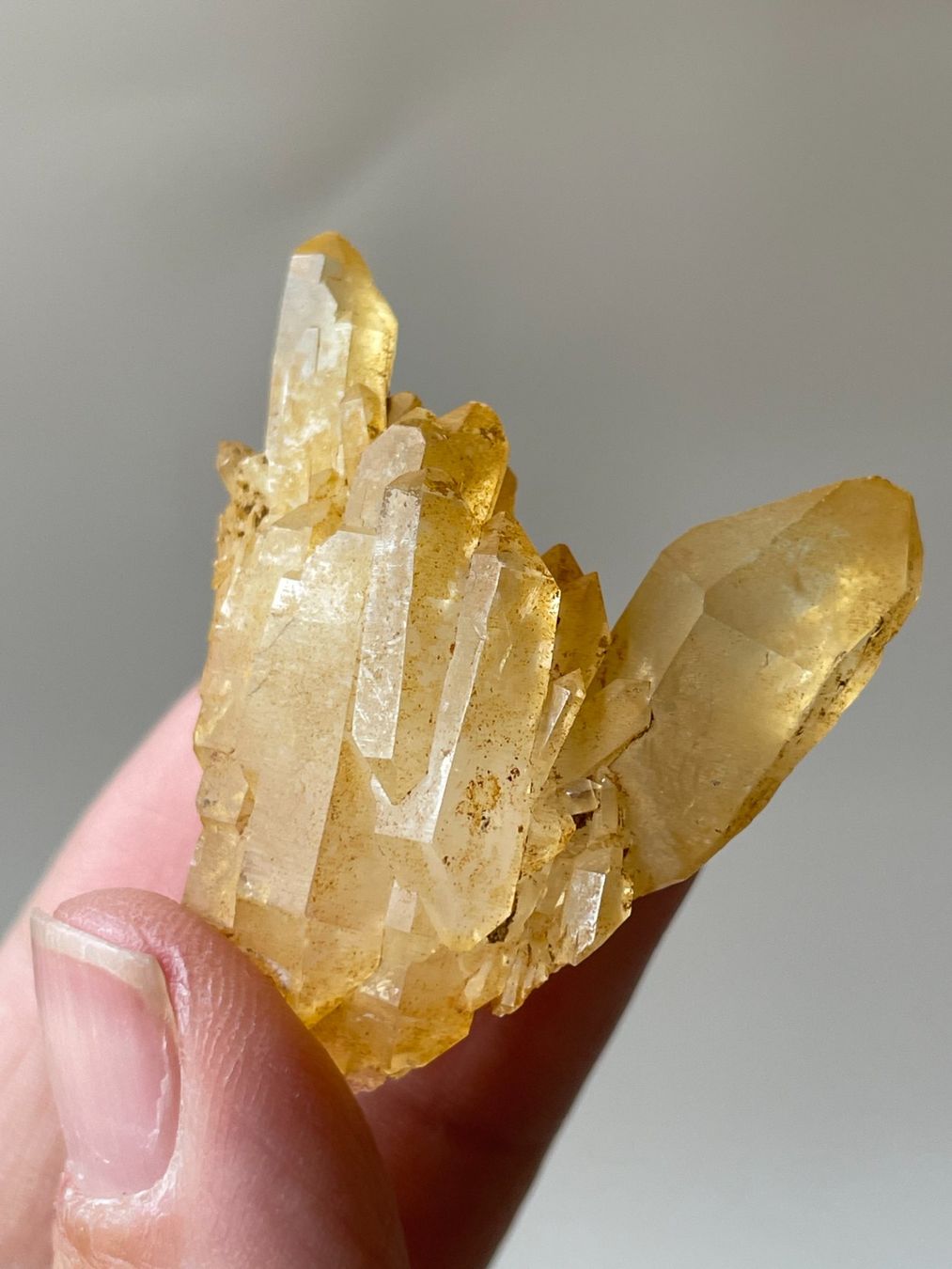 Minerali & Pietre curative: Tibet-Quarz | Citrin-Cluster – Nuovo (secondo la descrizione) da Schiers venduto da sisikristall 1