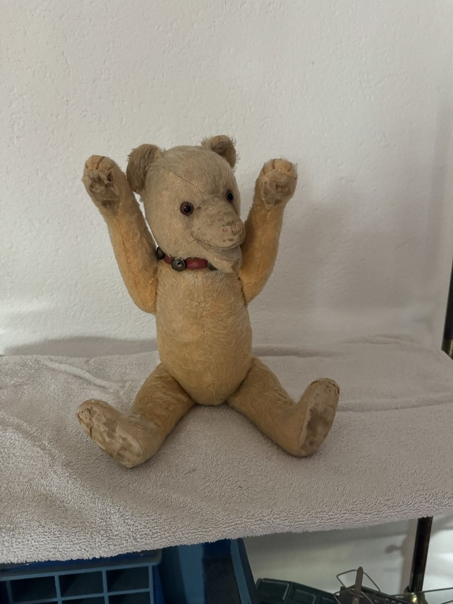 Steiff Giocattoli: Steiff Teddy – Usato da Binningen venduto da kal_5nsj 3