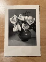 Vintage Postkarte mit Rosenmotiv, Schwarzweiss, Top!