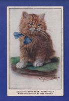CHAT - M'aimeriez-vous si je vous aimais ?