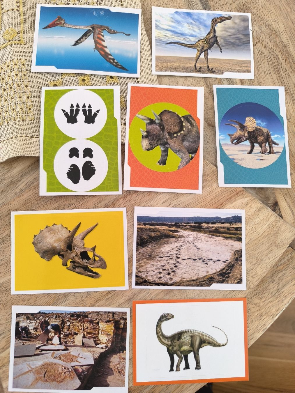 Panini Carte collezionabili: Panini National Geographic Dinos – Usato da Langenthal venduto da SchwarzeRose5 1