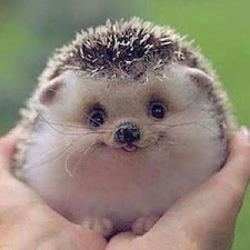 Profile image of razzorblog