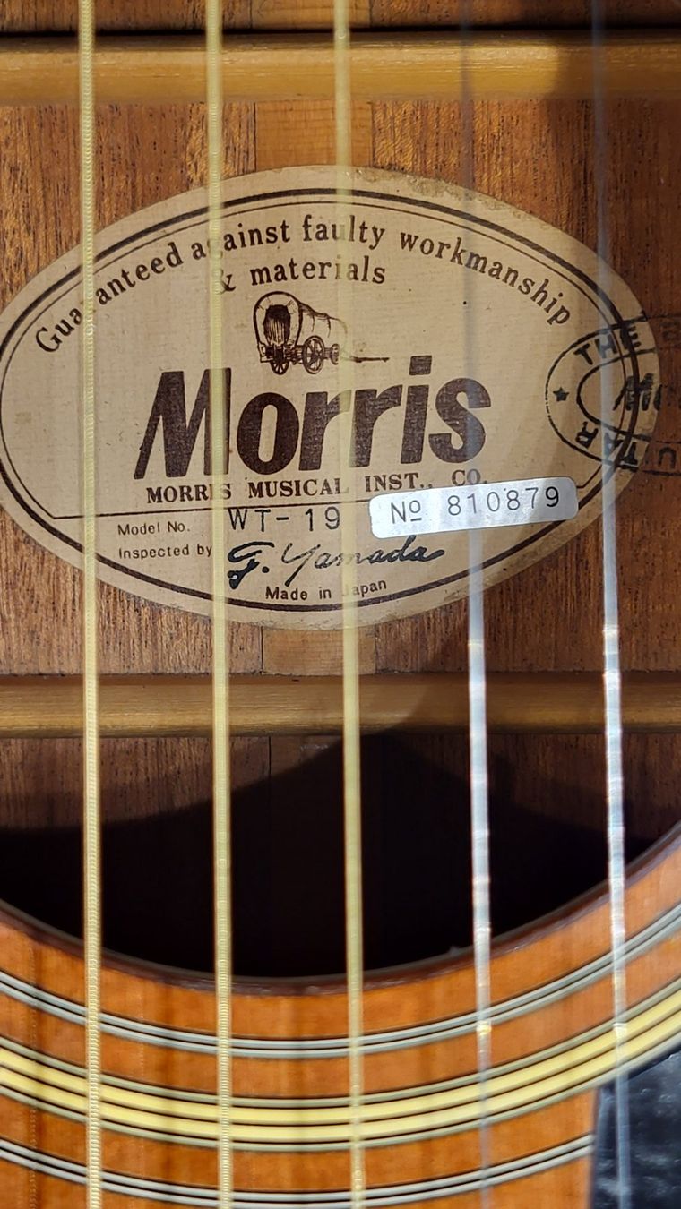 Strumenti musicali: Western Gitarre Morris WT-19 – Usato da Winterthur venduto da NorrSydGuitars 9
