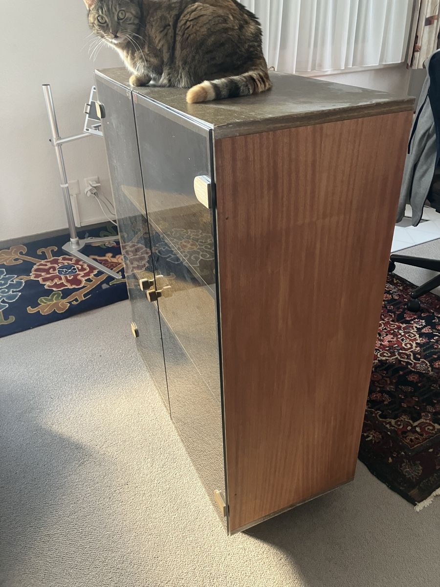 Vitrinen: Vitrine, braun – Gebraucht aus Horn von nat_97wq 1