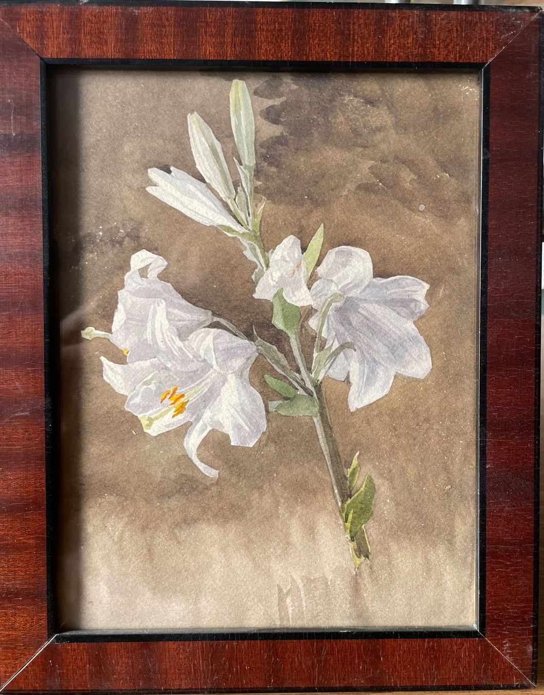 Dipinti: Lis blancs aquarelle anonyme – Usato da Biel/Bienne venduto da Galaq 1