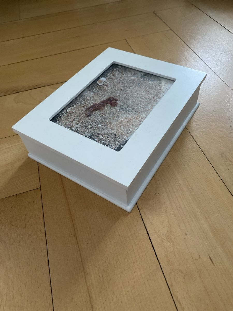 Altro per la casa: Sommerliche Erinnerungsbox mit Meer-Motiv – Usato da Zürich venduto da patrick8008 2