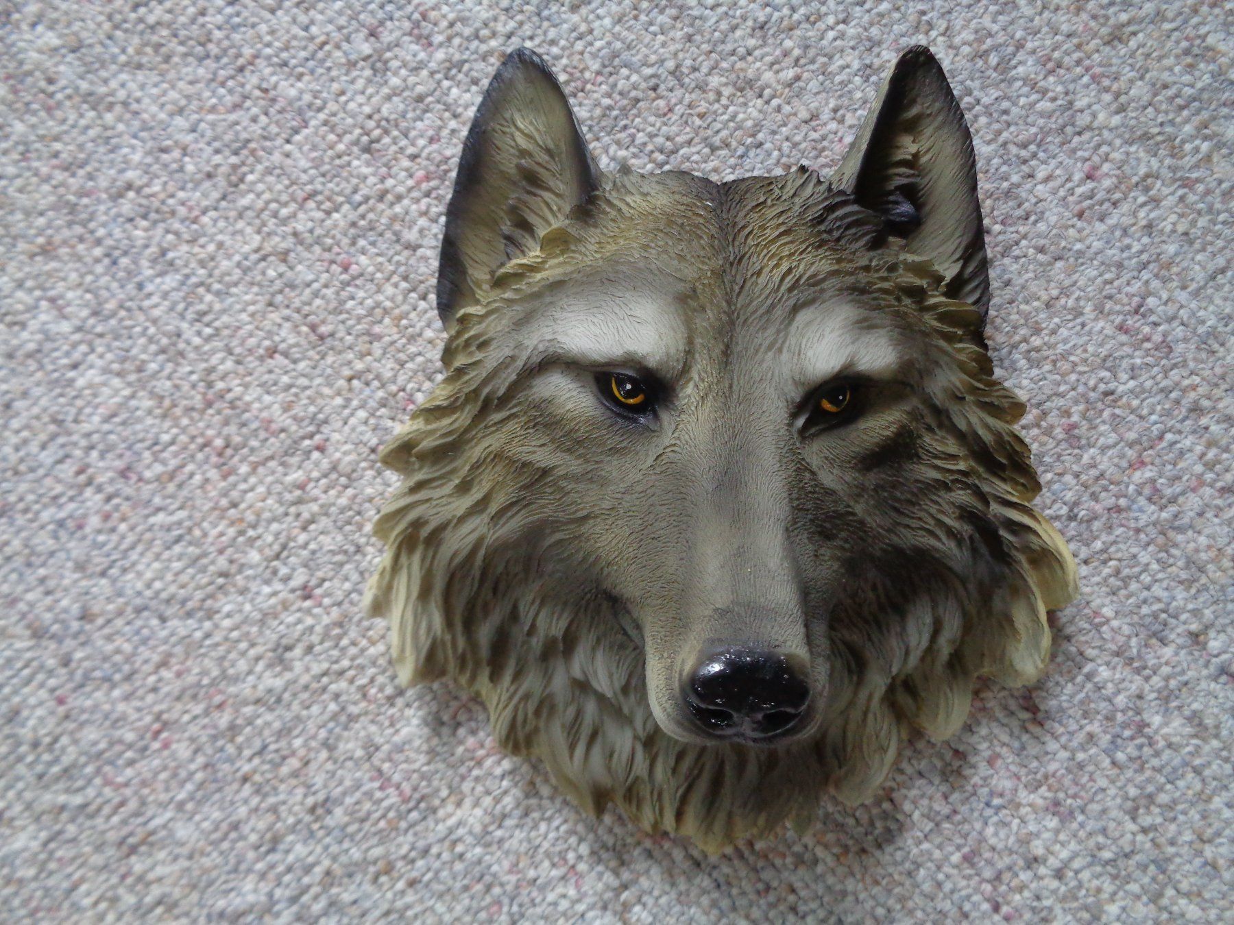 Statuette: Wolf Kopf 3D (20.5x17.5 cm) – Nuovo e nell'imballaggio originale da Langenbruck venduto da Gumsi 1