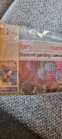 Diamond Painting Ballon