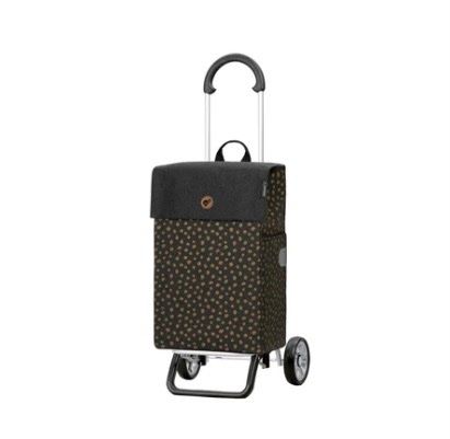 Altro per la casa: Einkaufswagen Shopper – Usato da Domat/Ems venduto da Sane66 5