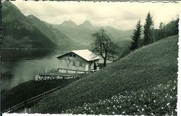 Beckenried NW Haus Mythenblick 1953 Stempel sehr gut erhalte