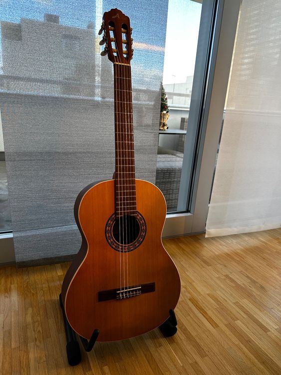 Neue Spanische Gitarre (Almansa) 1