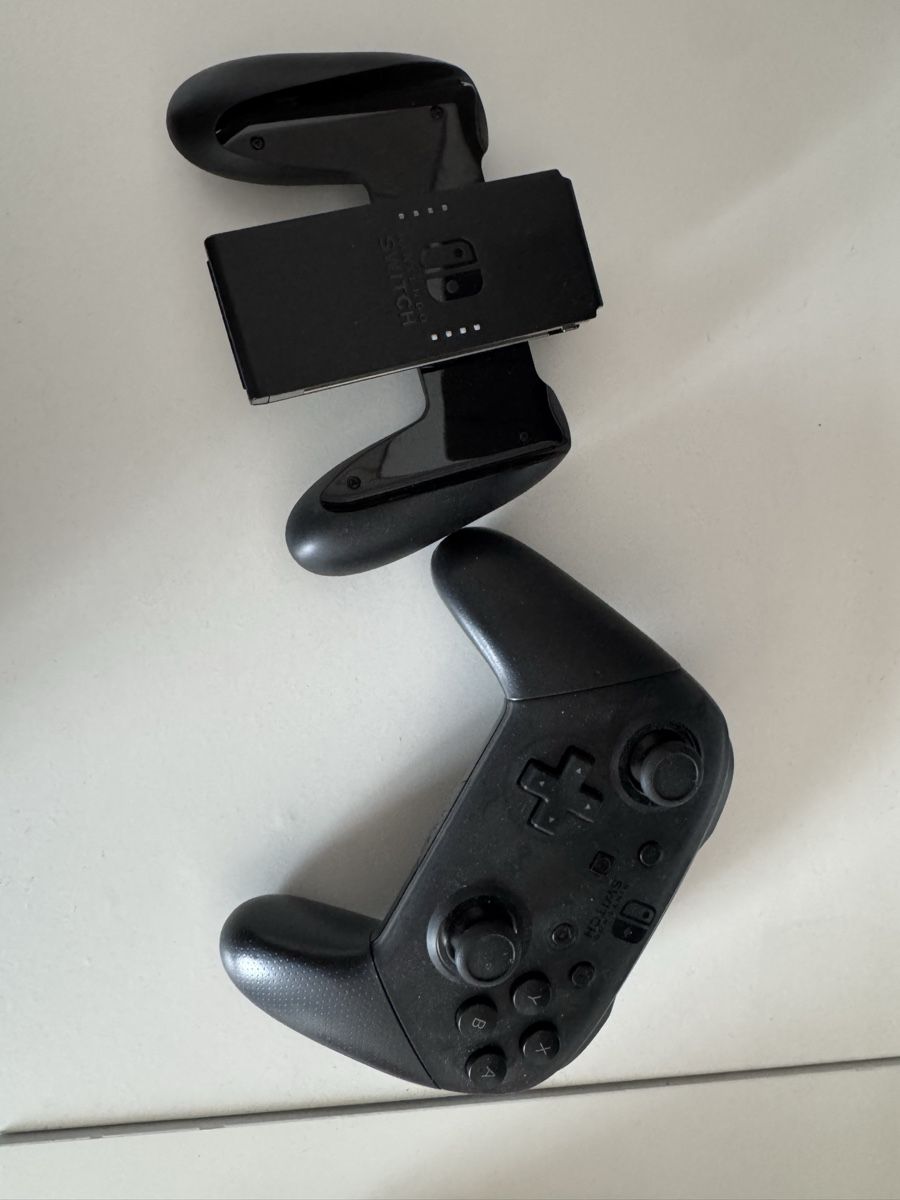 Nintendo Console: Nintendo Switch Zubehör Set: Pro Controller + Dock! – Usato da Birr venduto da raamonaaaaa 1