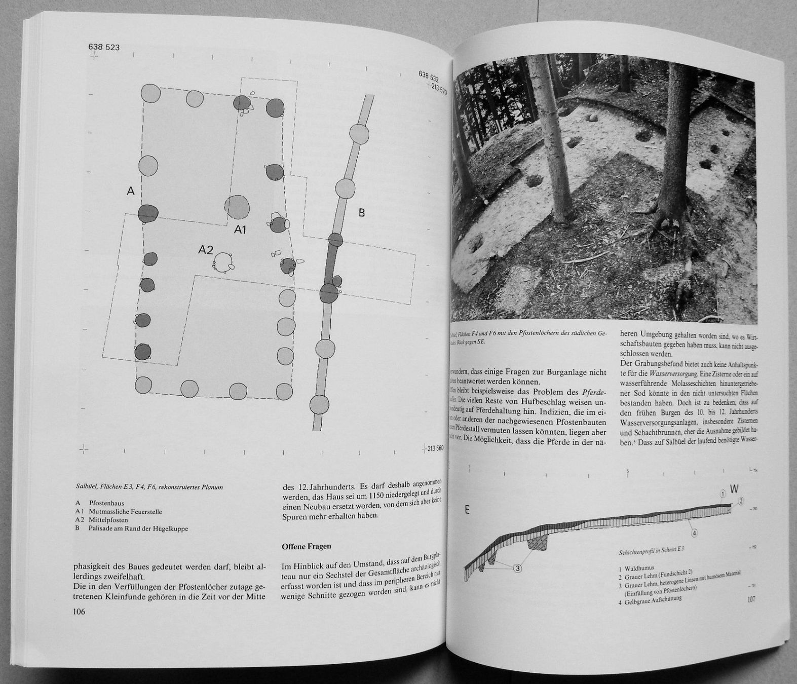 Libri: Pfostenbau und Grubenhaus – Usato da Burgdorf venduto da Joggigring 7