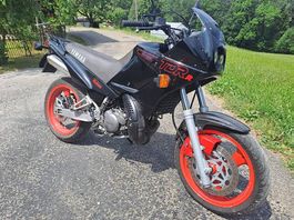 Yamaha TDR 125ccm/ mit 16 Jahren fahrbar / Motor überholt!