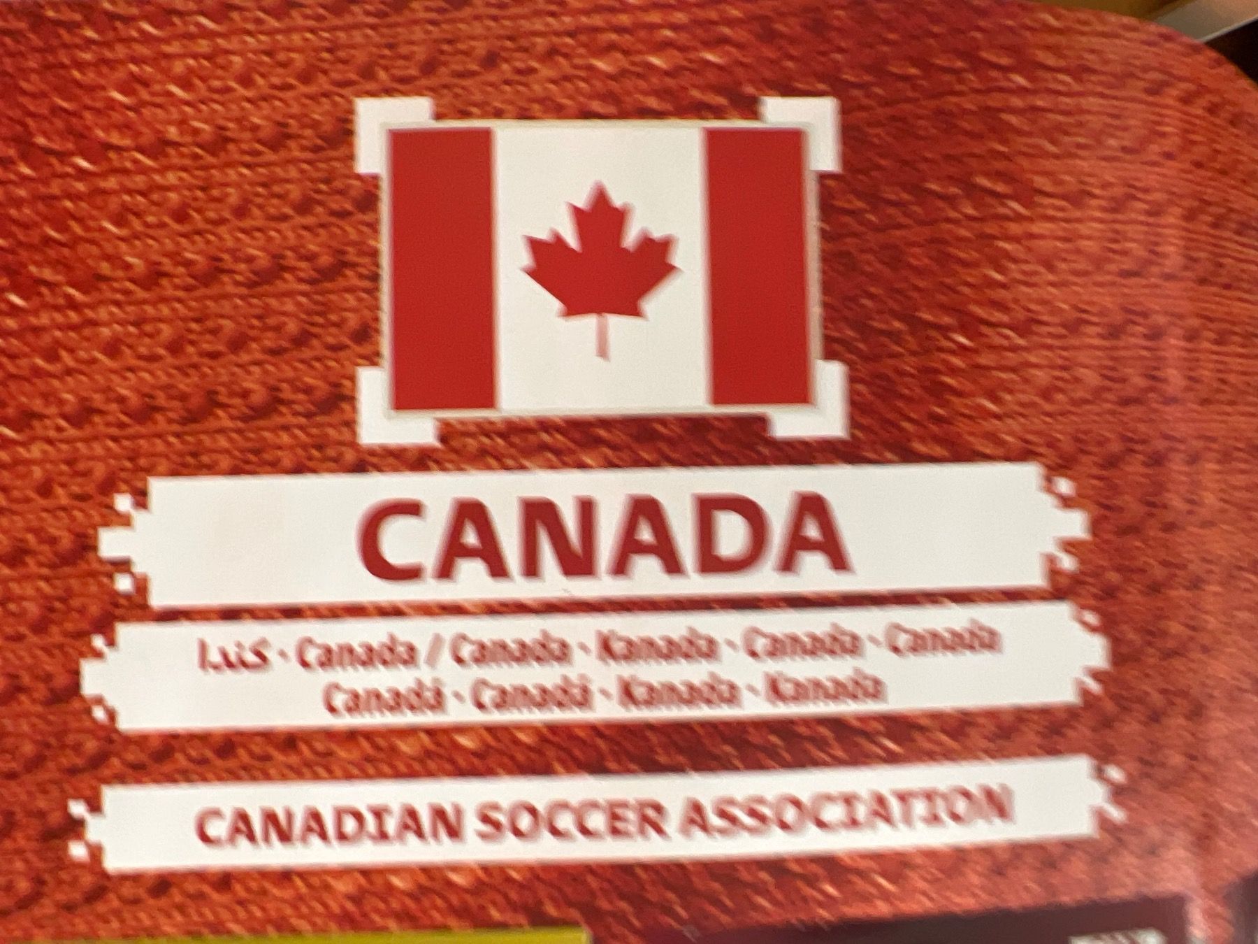 Panini Sammelbilder & Trading cards: Panini Qatar 2022 Oryx Edition Canada – Neu (gemäss Beschreibung) aus Dietikon von Emoruk 2