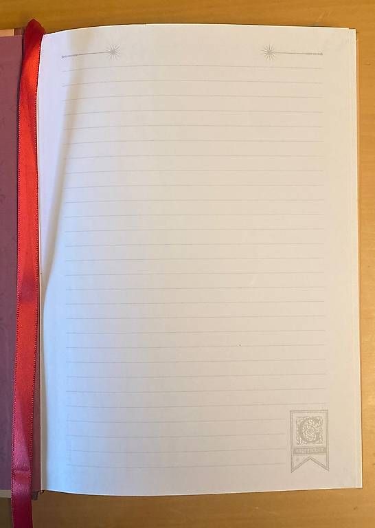 Blocchi: Harry Potter Notizbuch neu – Usato da Herisau venduto da Flips0463 2