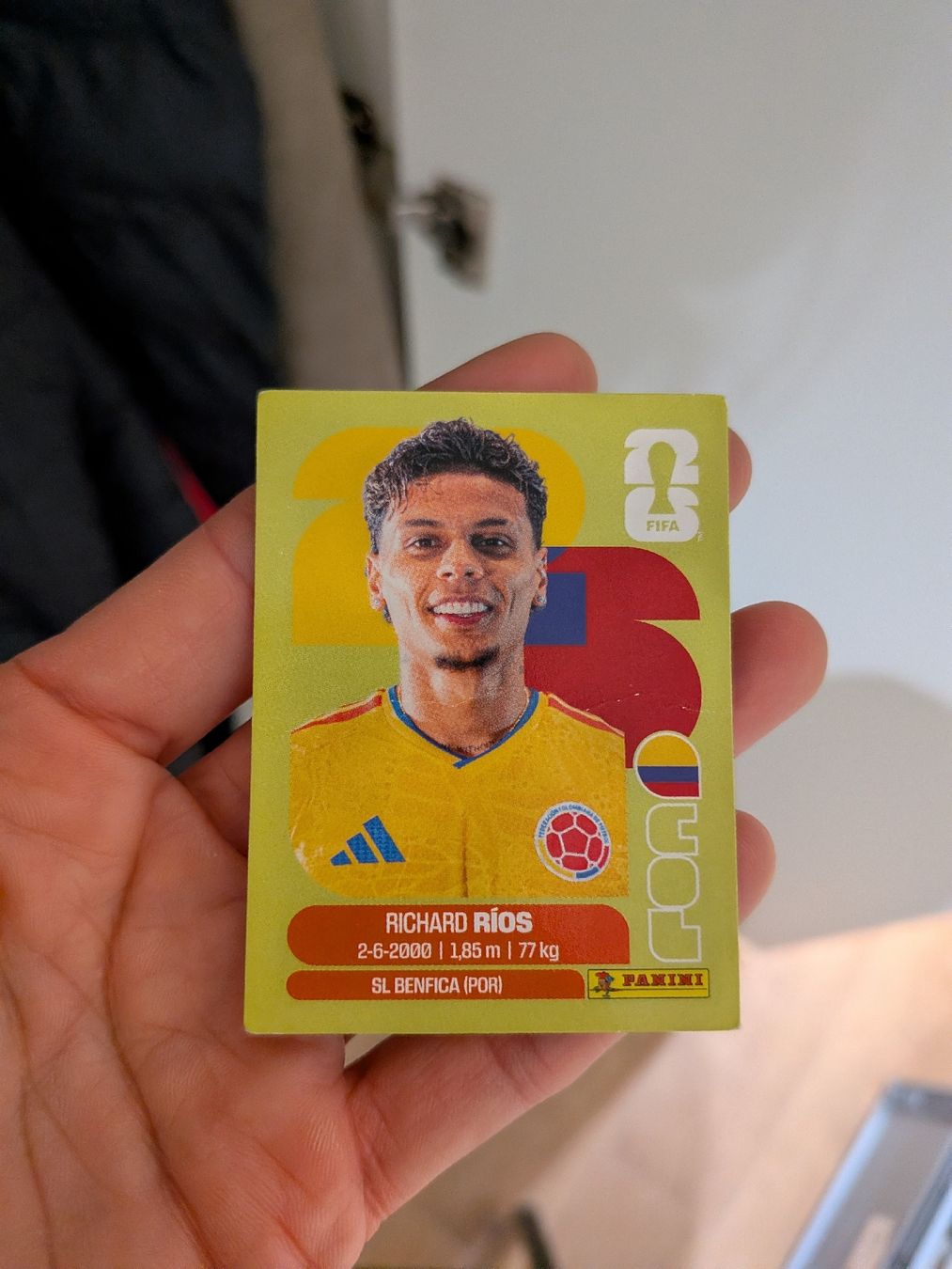 Panini Sammelbilder & Trading cards: Panini Bild COL 12 – Gebraucht aus Eschenbach SG von SanFranciscoCalifornia