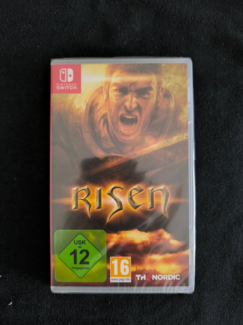 Jeux: Risen Nintendo Switch Sealed – D'occasion à Schüpfen par RetroSteelix