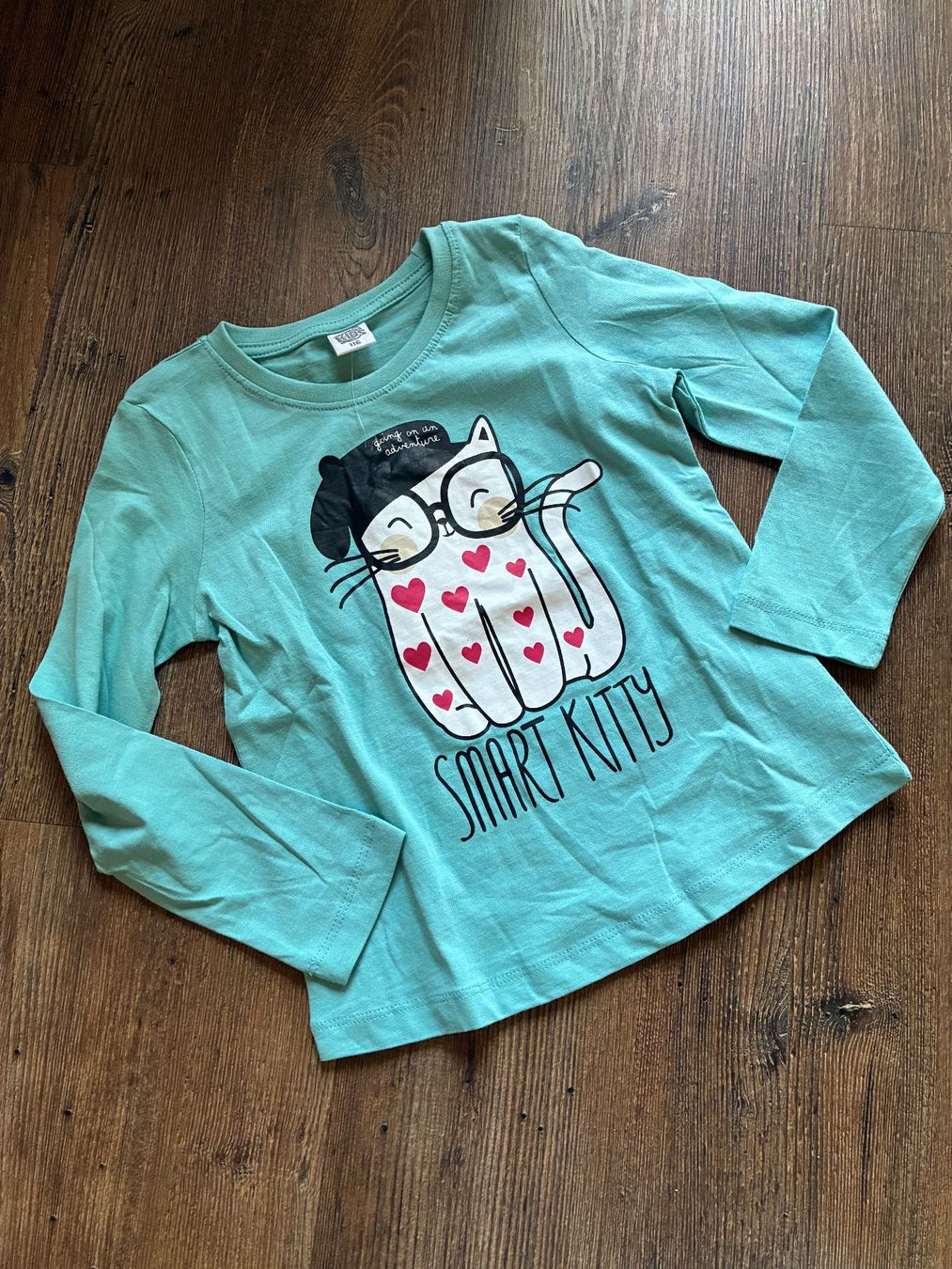 Pullover & Sweatshirts: Schönes Langarmshirt Gr. 116, Neu – Neu (gemäss Beschreibung) aus richterswil von lunamarie001