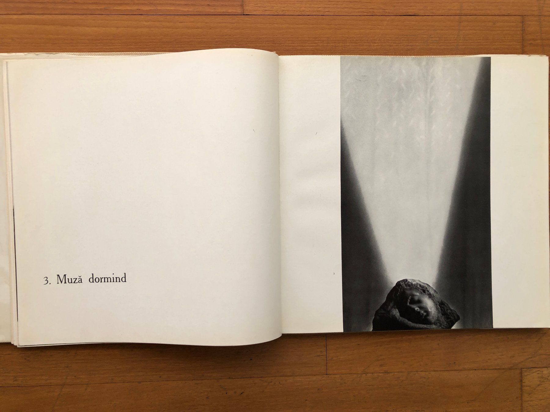 Libri: Kunst Buch: CONSTANTIN BRANCUSI – Usato da Lugano venduto da gio.yo 2
