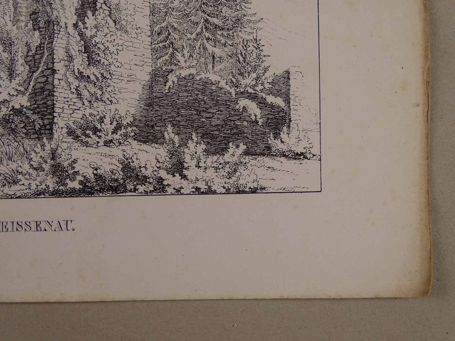 Incisioni: WEISSENAU BERN, FEDERLITHOGRAPHIE 1840 – Usato da Grüningen venduto da Kartensammler 4