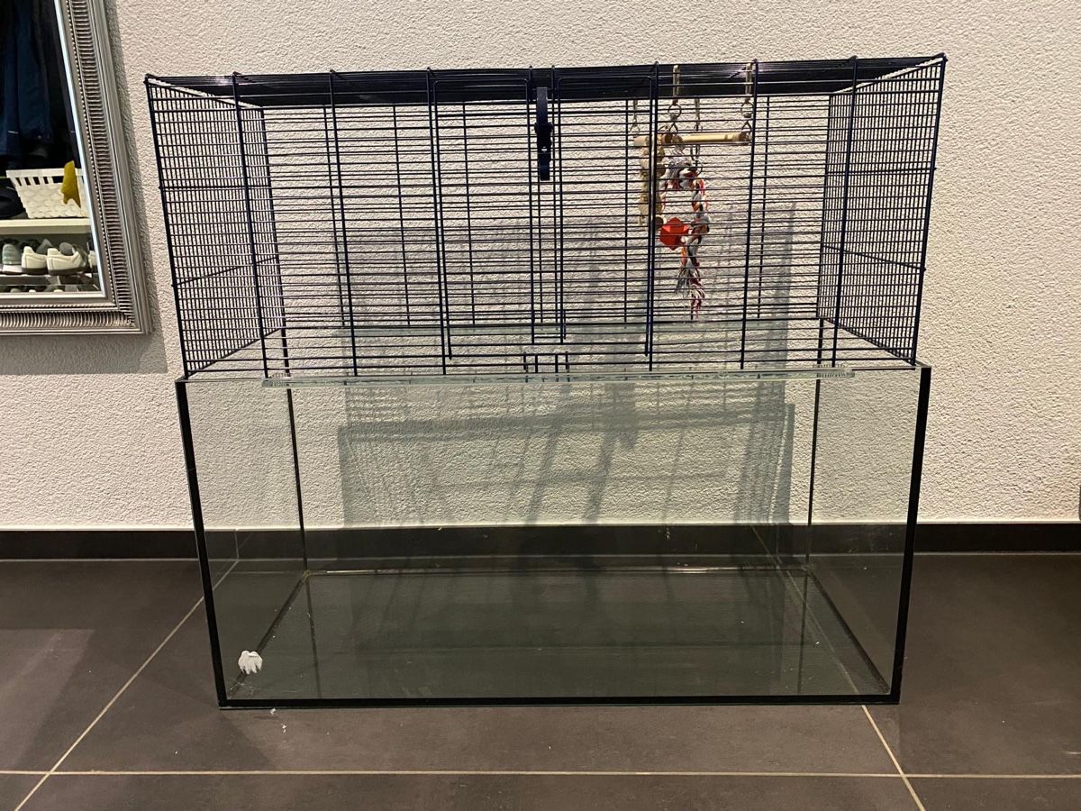 Gabbie, trasporto & Sicurezza: Hamsterkäfig – Usato da Oberdiessbach venduto da aurox 2
