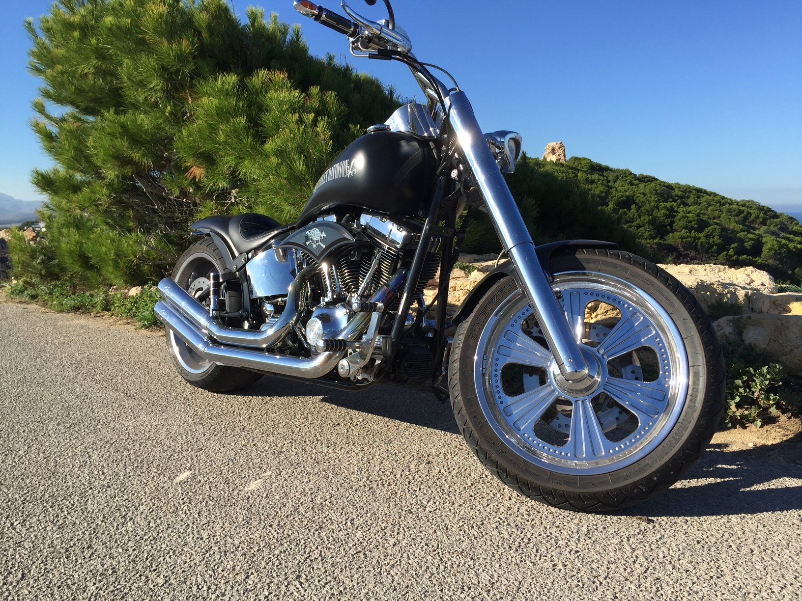 Harley-Davidson Chopper: Harley Davidson FXST - Custombike, 100 th Anniversary – Gebraucht aus Schwyz von alfred067