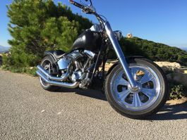 Harley Davidson FXST - Custombike, 100 th Anniversary
