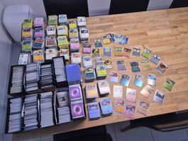 Pokemon Kartensammlung - hauptsächlich ENG, DE, JPN, wenigCN