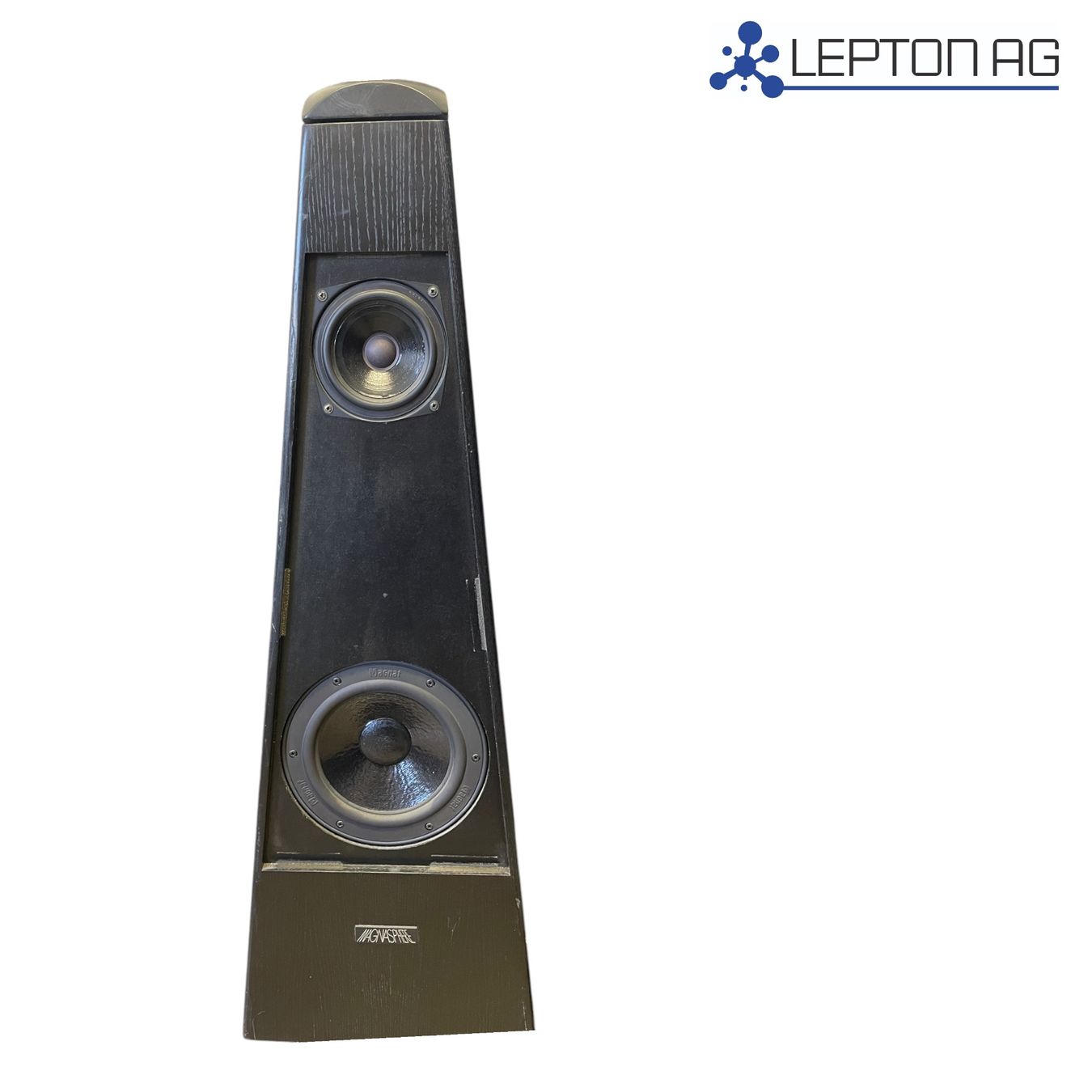 Magnat Casse acustiche: Magnat Magnasphere Gamma Lautsprecher/ 2x – Usato da Niederdorf venduto da LeptonAG 2