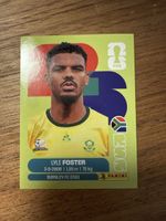 Panini Fifa RSA 17