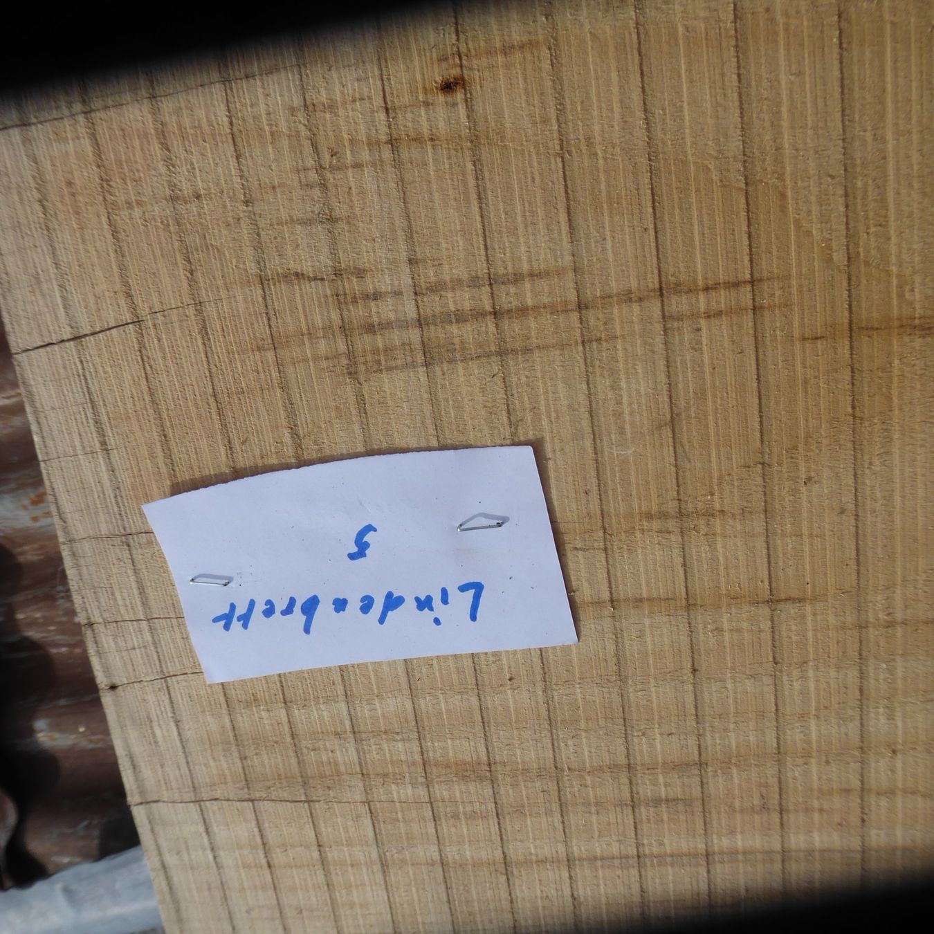 Articoli in legno: Lindenholz 24 mm – Nuovo (secondo la descrizione) da Sumiswald venduto da Hennri1 2