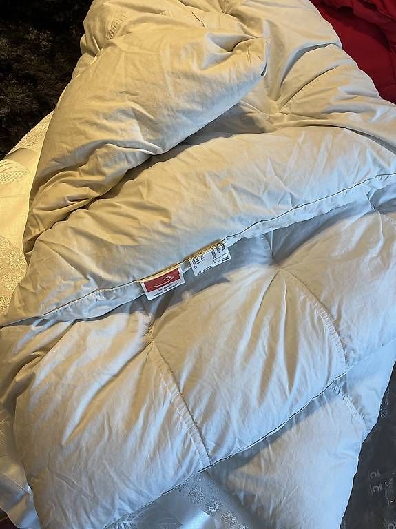 Coperte: 2 Daunenduvet und Kissen – Usato da Horgen venduto da fab_8vh7 4