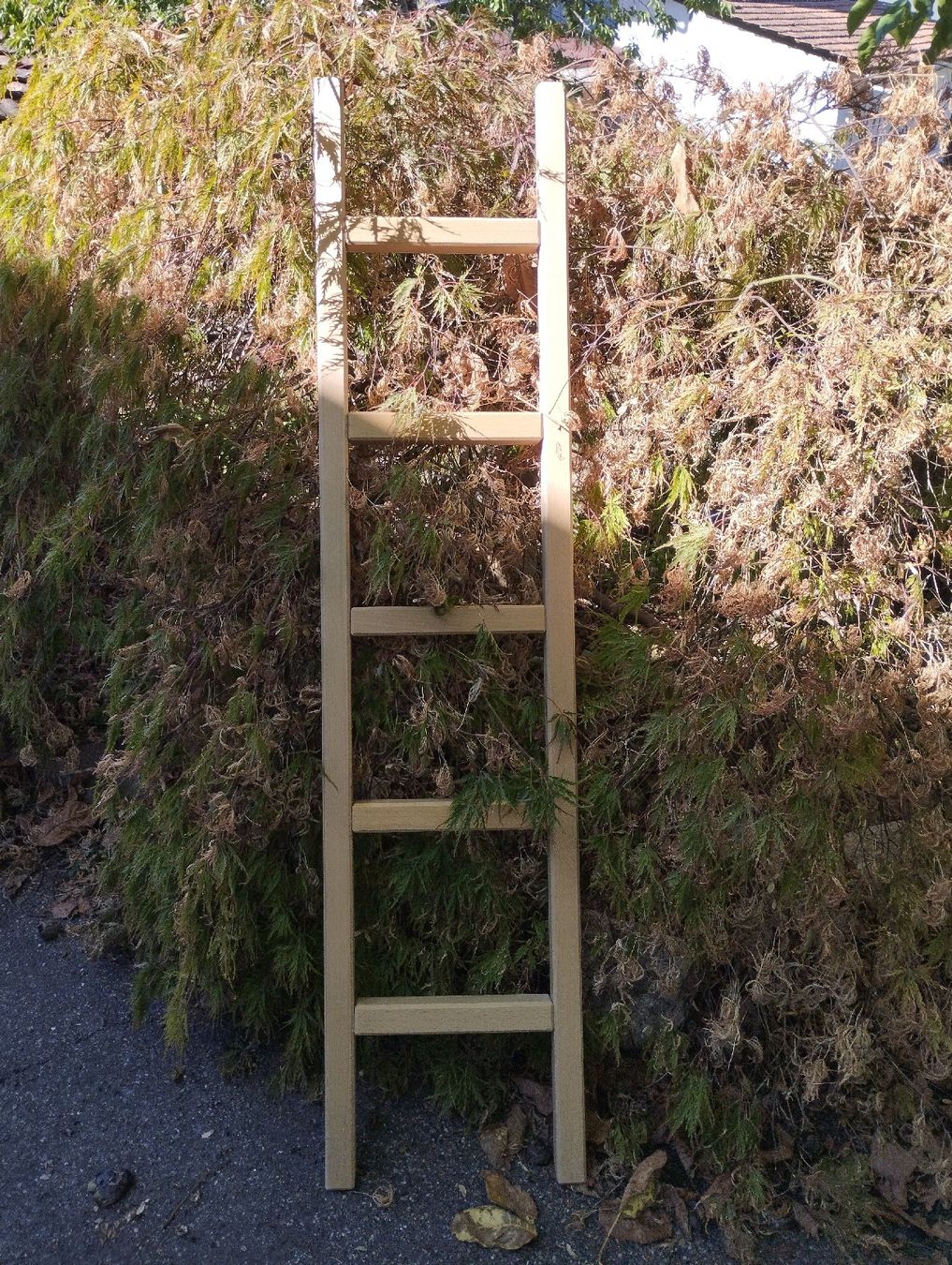Scale: Leiter aus Holz – Usato da Ostermundigen venduto da Dinge1