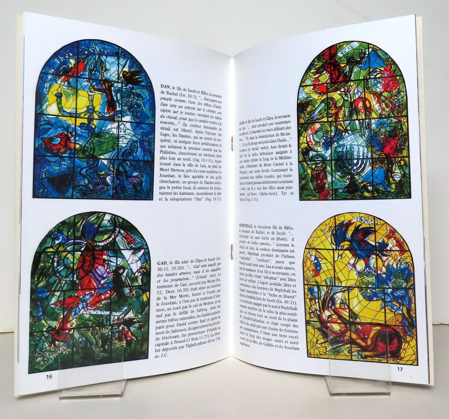 Libri: Les vitraux de Chagall – Usato da Le Locle venduto da LibrairieLaBergerie 1
