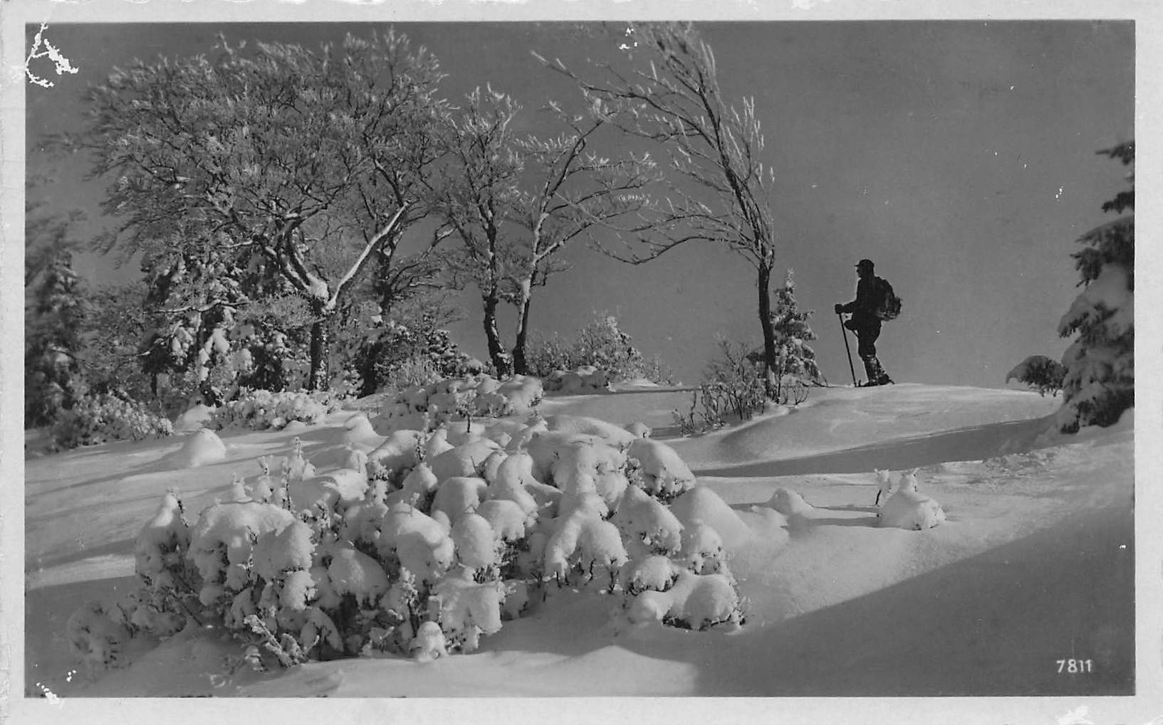 Cartoline postali: Sciatore nella neve Skifahrer im Schnee – Usato da Biasca venduto da Blenio71