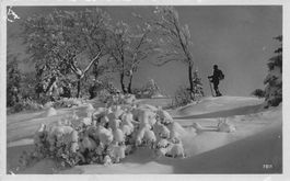 Sciatore nella neve Skifahrer im Schnee