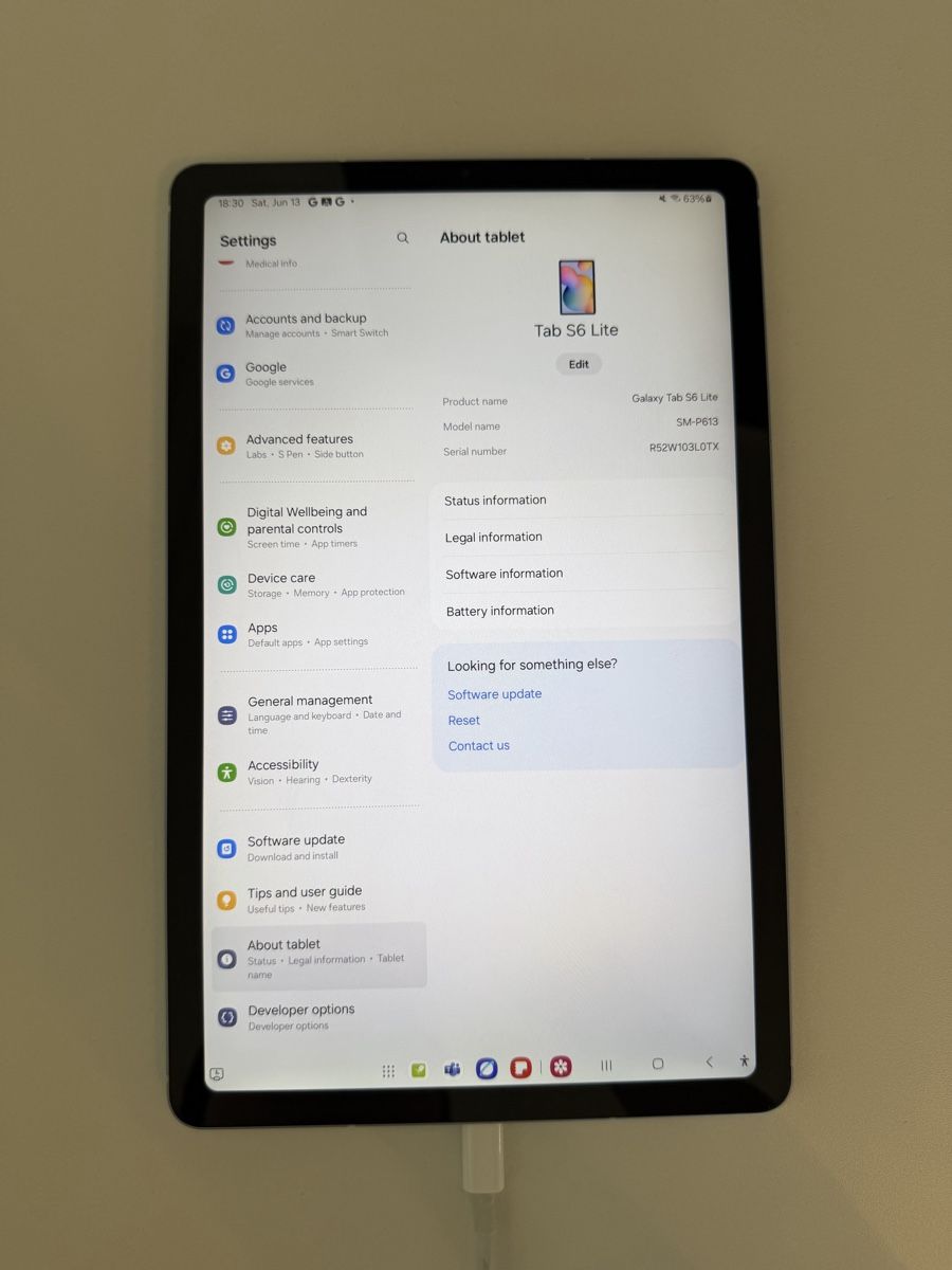 Samsung Tablet PC: Galaxy Tab S6 Lite / 64GB – Nuovo (secondo la descrizione) da Zürich venduto da eli_7svm 4