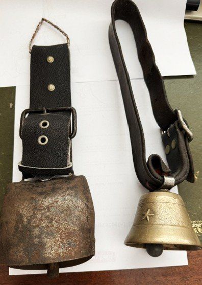 Campanacci mucche: Viehglocken – Usato da Büren an der Aare venduto da gondola17