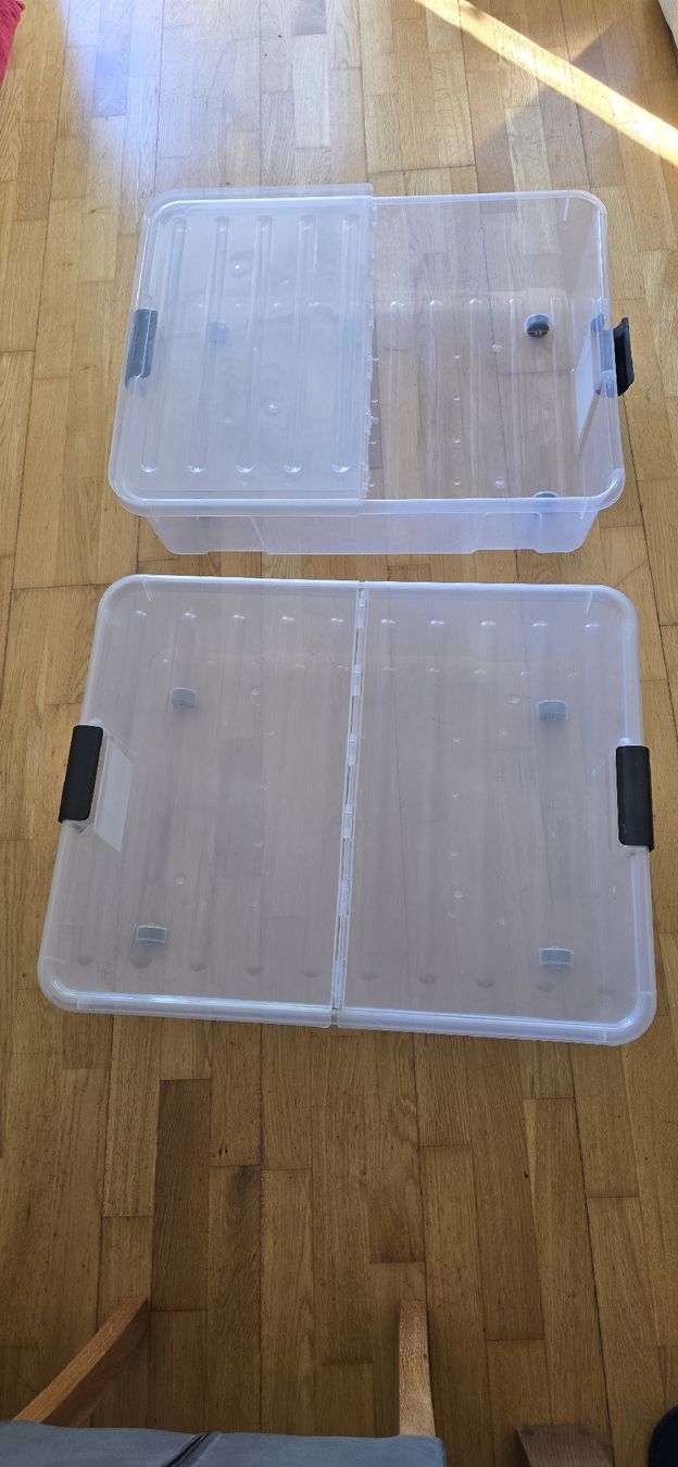 JYSK Aufbewahrungsbox Underbed, 71x56x19cm, 49L (Gebraucht) in Bern für CHF 9 – nur Abholung auf Ricardo kaufen