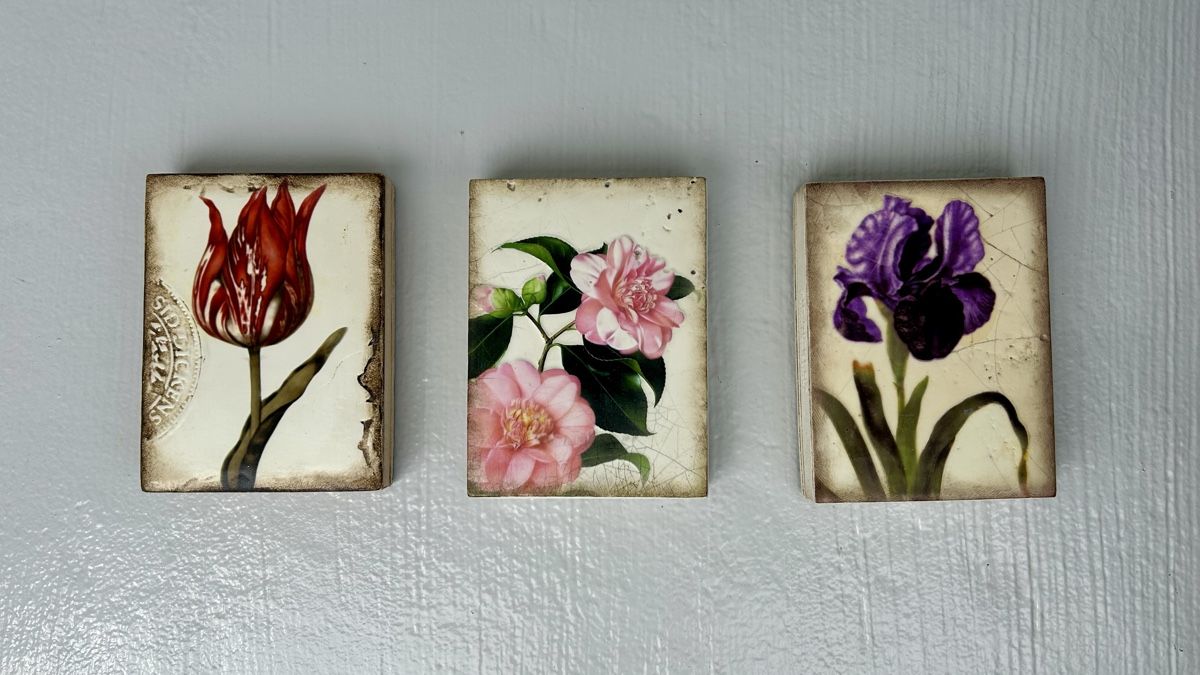 Foto & Immagini: Sid Dickens Memory Tyles: Scarlet, Iris und Gratitude – Usato da Meilen venduto da Swisscommunicator