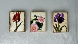 Für Sammler: 3 vergriffene florale Sid Dickens Memory Tiles