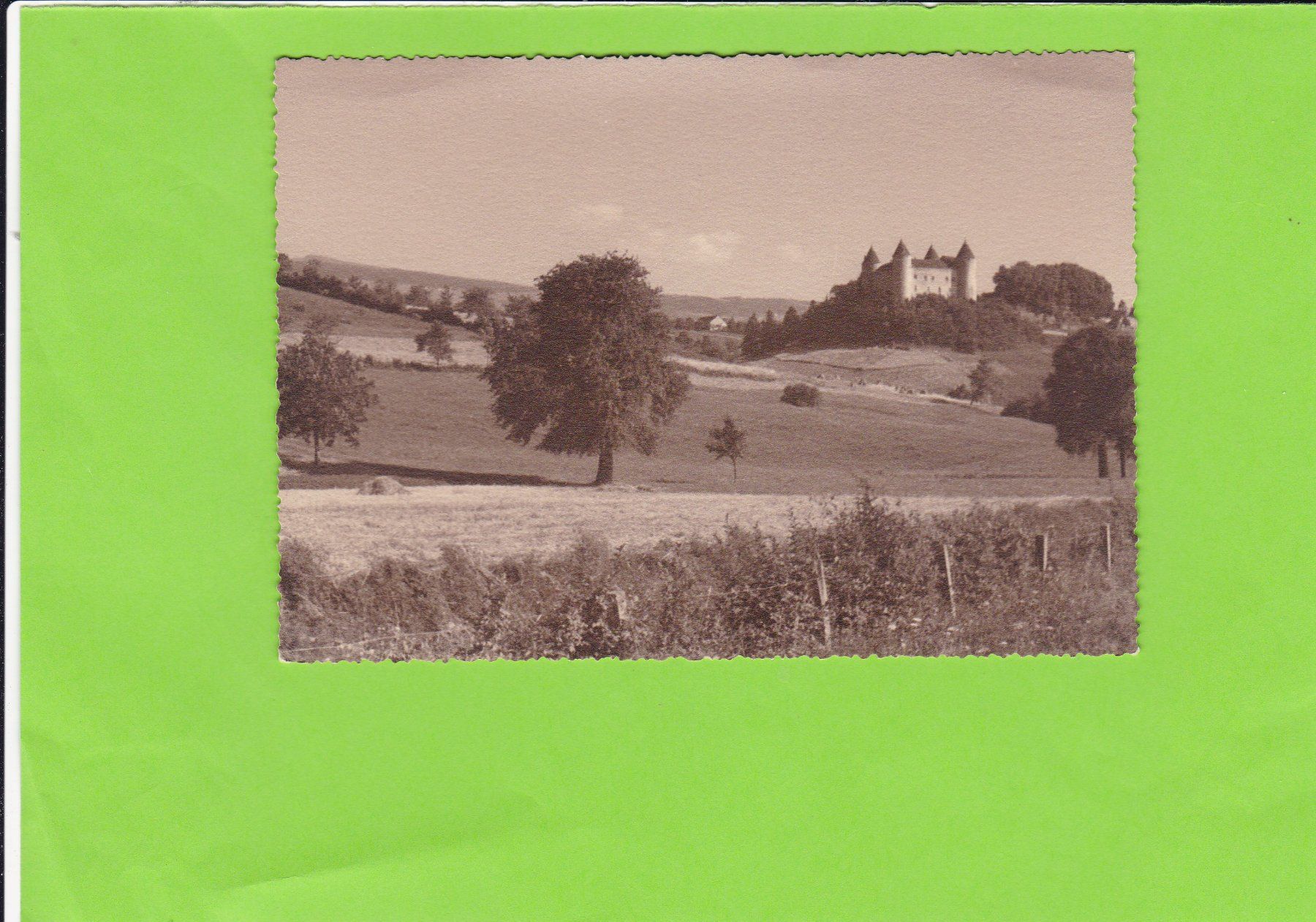 Cartoline postali: Schloss--Wo?? – Usato da St. Peterzell venduto da neckertal