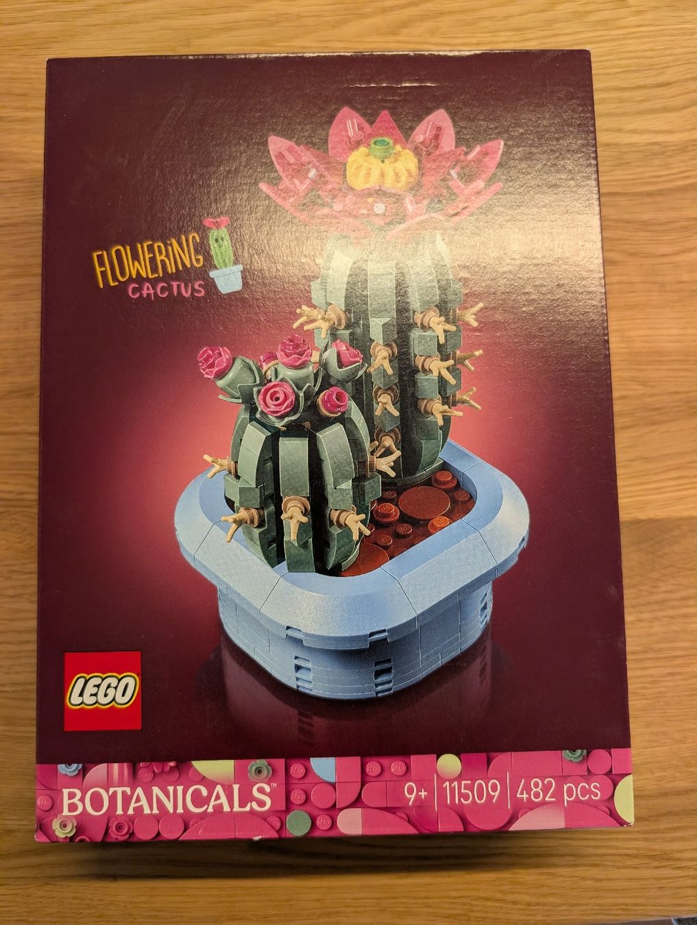 Lego Jeux de construction: LEGO Botanicals Flowering Cactus – Neuf avec emballage d'origine à Winterthur par mrcsrs