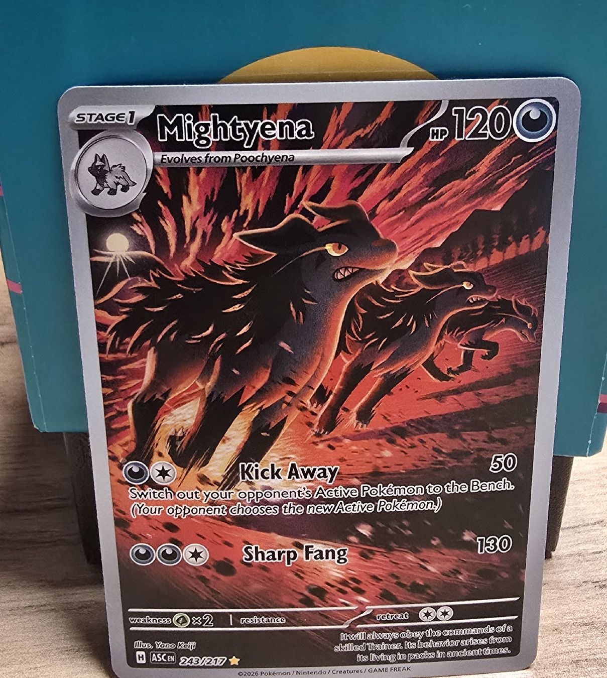 Pokémon Sammelbilder & Trading cards: Mightyena 243/217 / Near Mint – Neu (gemäss Beschreibung) aus Naters von alissa.s