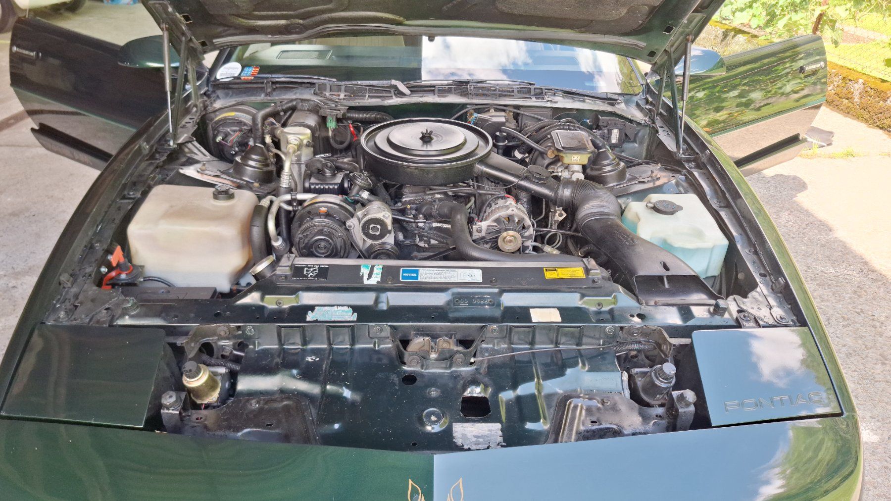 Pontiac Automobili: Pontiac Firebird Trans Am 5.0 – Usato da Stansstad venduto da th__7wgm 4