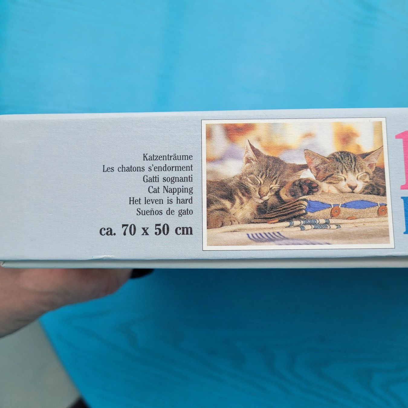 Ravensburger Puzzle: Ravensburger Puzzle/  Katzenträume     1000 Teile – Nuovo (secondo la descrizione) da SCHÜBELBACH venduto da CoKaHa 2